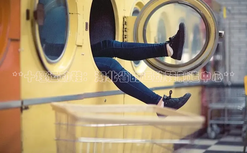 bsports登录入口文心一言**十堰运动鞋：湖北省的运动鞋制造中心**