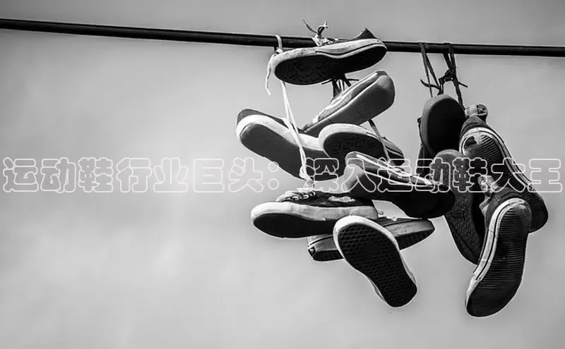 b体育sports百度游戏开放平台运动鞋行业巨头：深入运动鞋大王