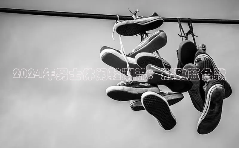 B体育手机版下载app百度Apollo2024年男士休闲鞋潮流：别致蓝色款