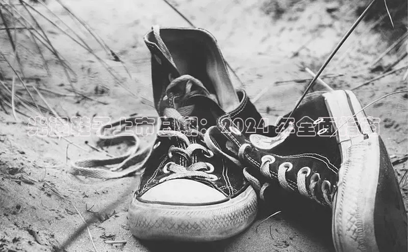 b体育登录入口app下载安装免费中海达光遇鞋子上市日期：2024 年全面指南