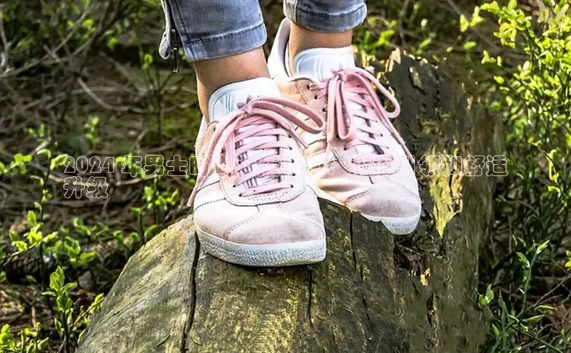 Bsports在线登录入口百度教育2024 年男士时尚鞋履指南：潮流引领和舒适
升级