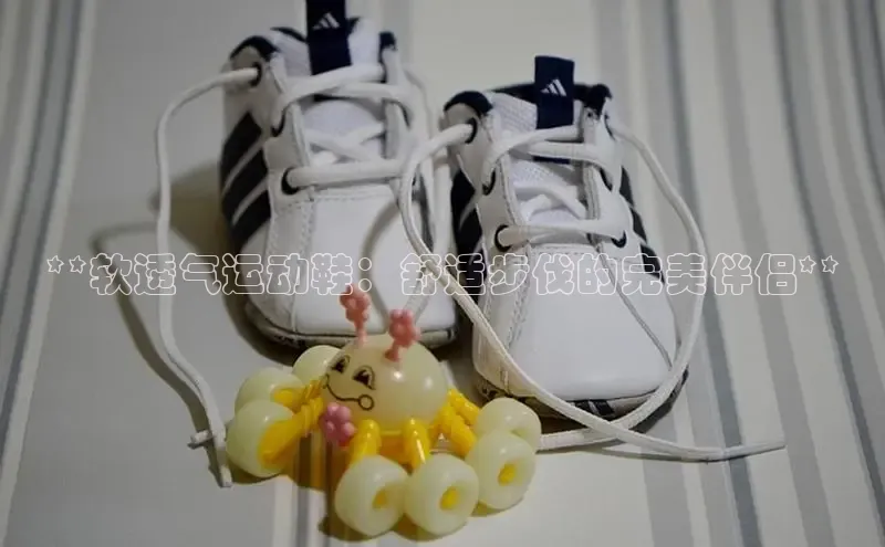 Bsport网页版百度数据开放平台**软透气运动鞋：舒适步伐的完美伴侣**