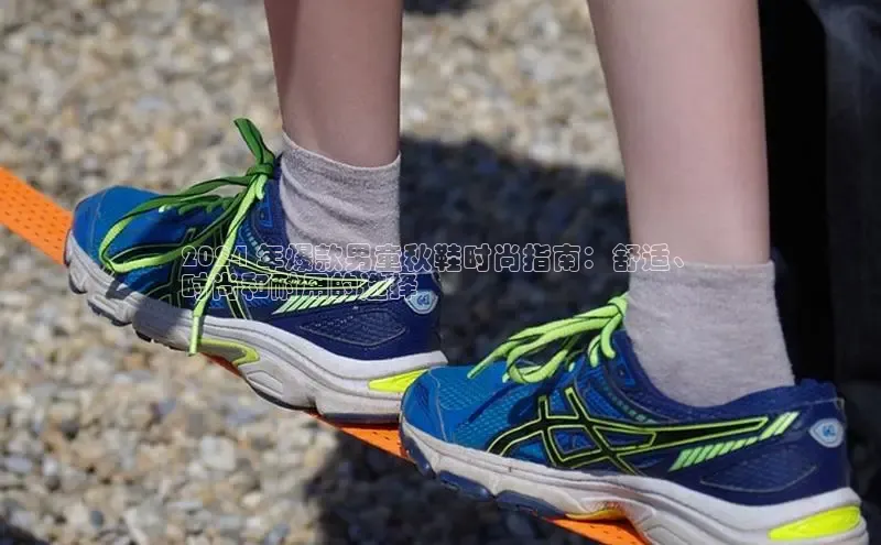 Bsport网页版百度数据开放平台2024 年爆款男童秋鞋时尚指南：舒适、
时尚和耐用的选择