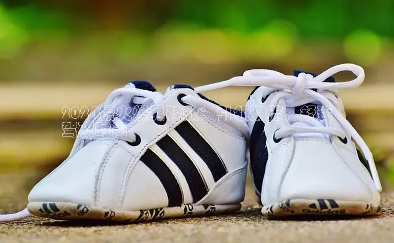 b体育sports顺丰2024最火爆男鞋款：引领潮流，舒适
驾驭时尚