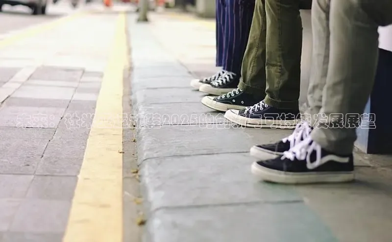 必一运动官网金山办公未来：杜米亚运动鞋2025的创新与可持续发展展望