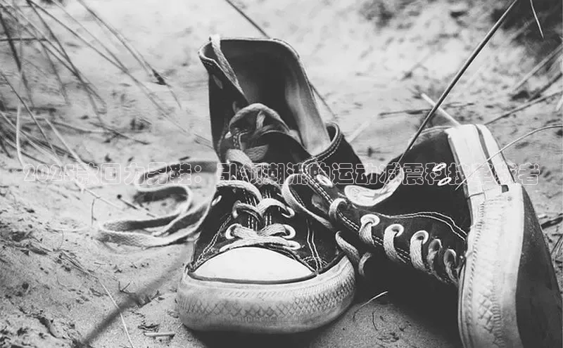 bsports必一运动华策影视2025款回力男鞋：引领潮流的运动减震科技革新者