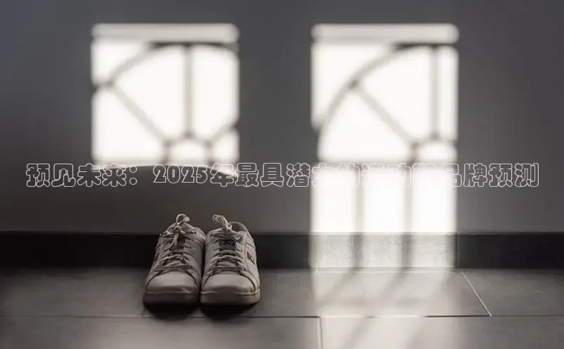 预见未来：2025年最具潜力的运动鞋品牌预测