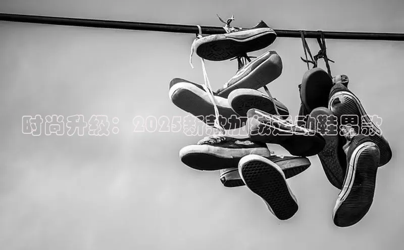 时尚升级：2025新款加绒运动鞋男款