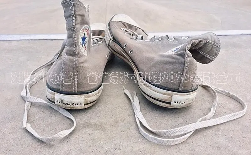 潮流引领者：爸爸款运动鞋2025新款全面