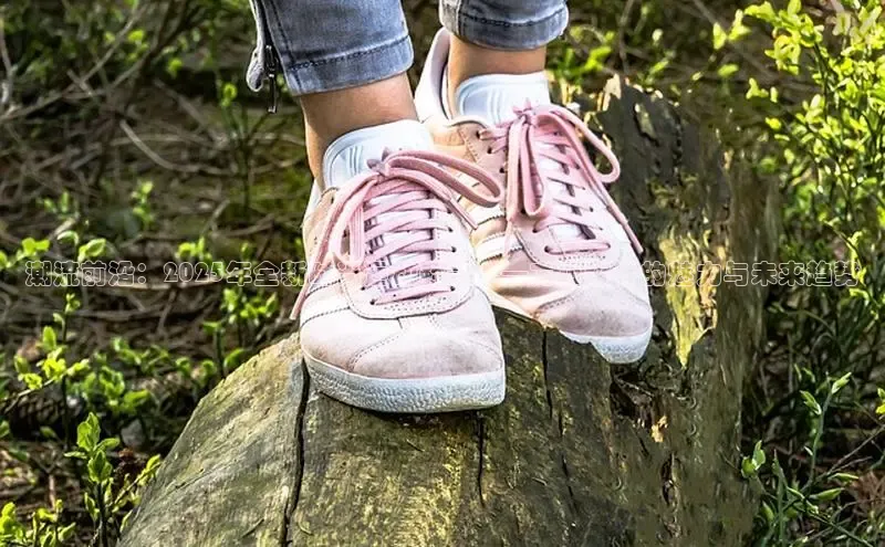 b体育下载入口app