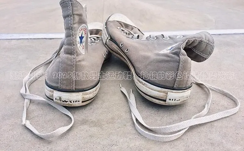 B体育官方入口APP