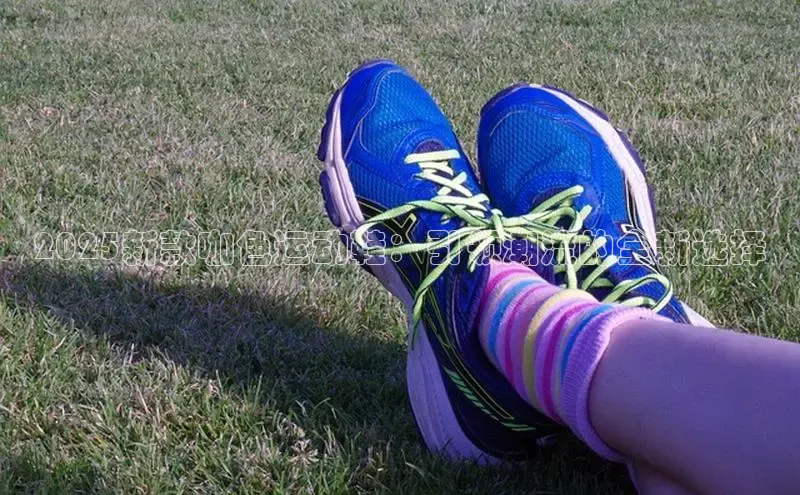 b体育登录入口app下载安装免费