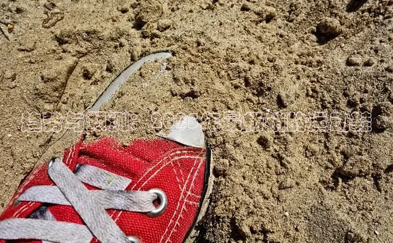 趋势与预测：2025年最畅销的运动鞋